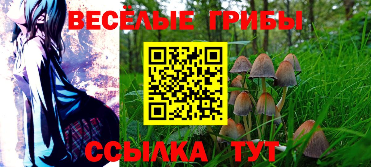 Псилоцибиновые грибы мицелий  Вход с VPN  Казань 